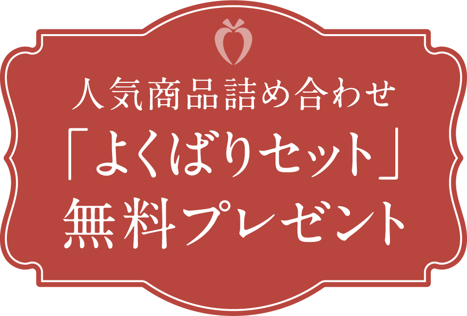 人気商品詰め合わせ「よくばりセット」無料プレゼント