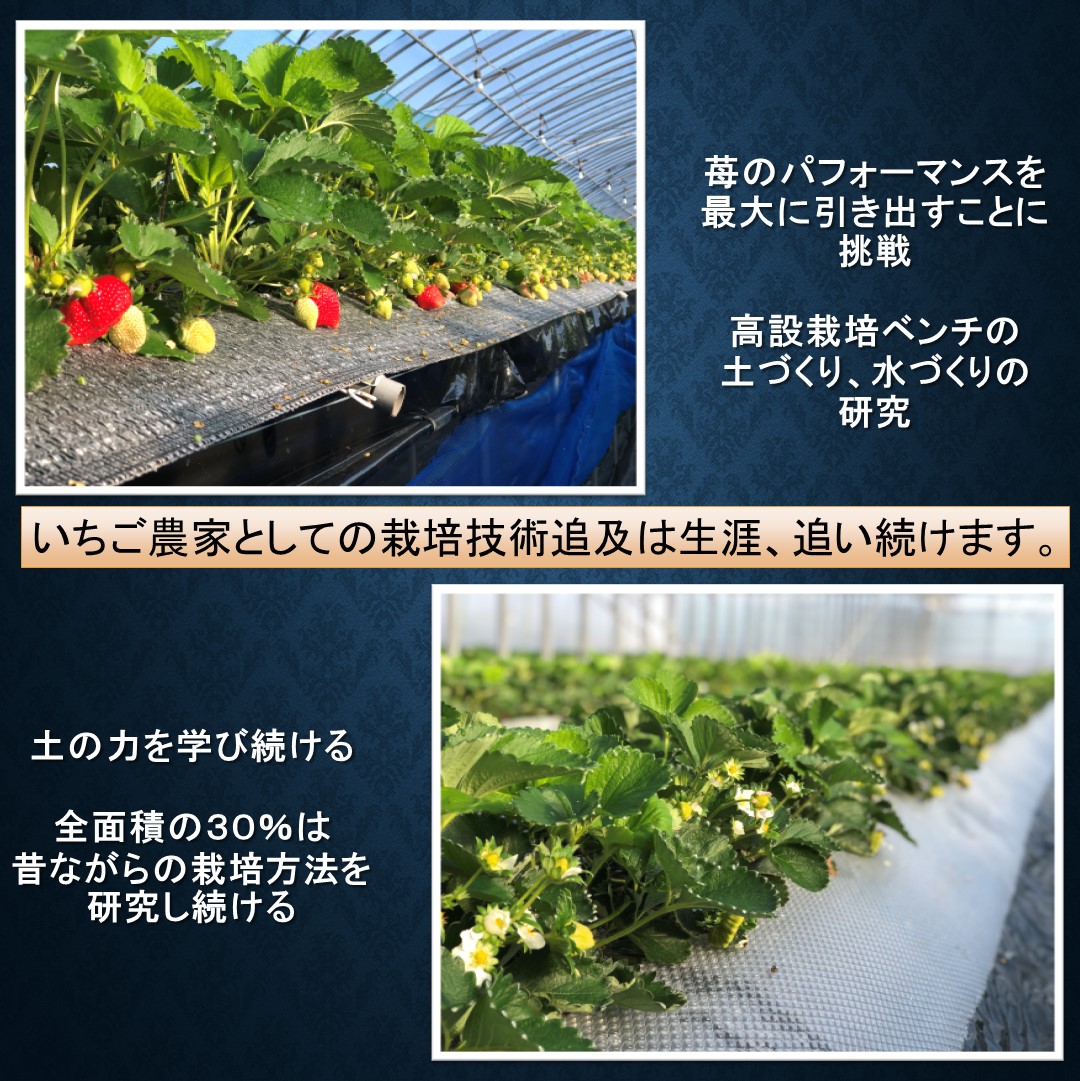 あまおう