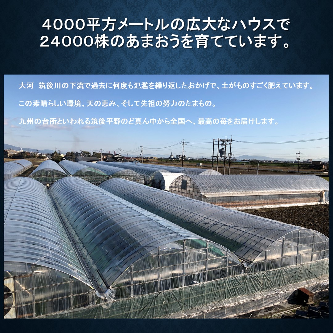 あまおう