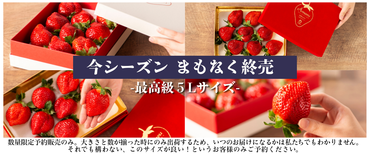 ５L予約受付開始