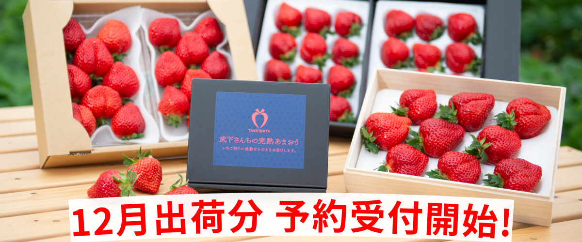 生果予約受付開始