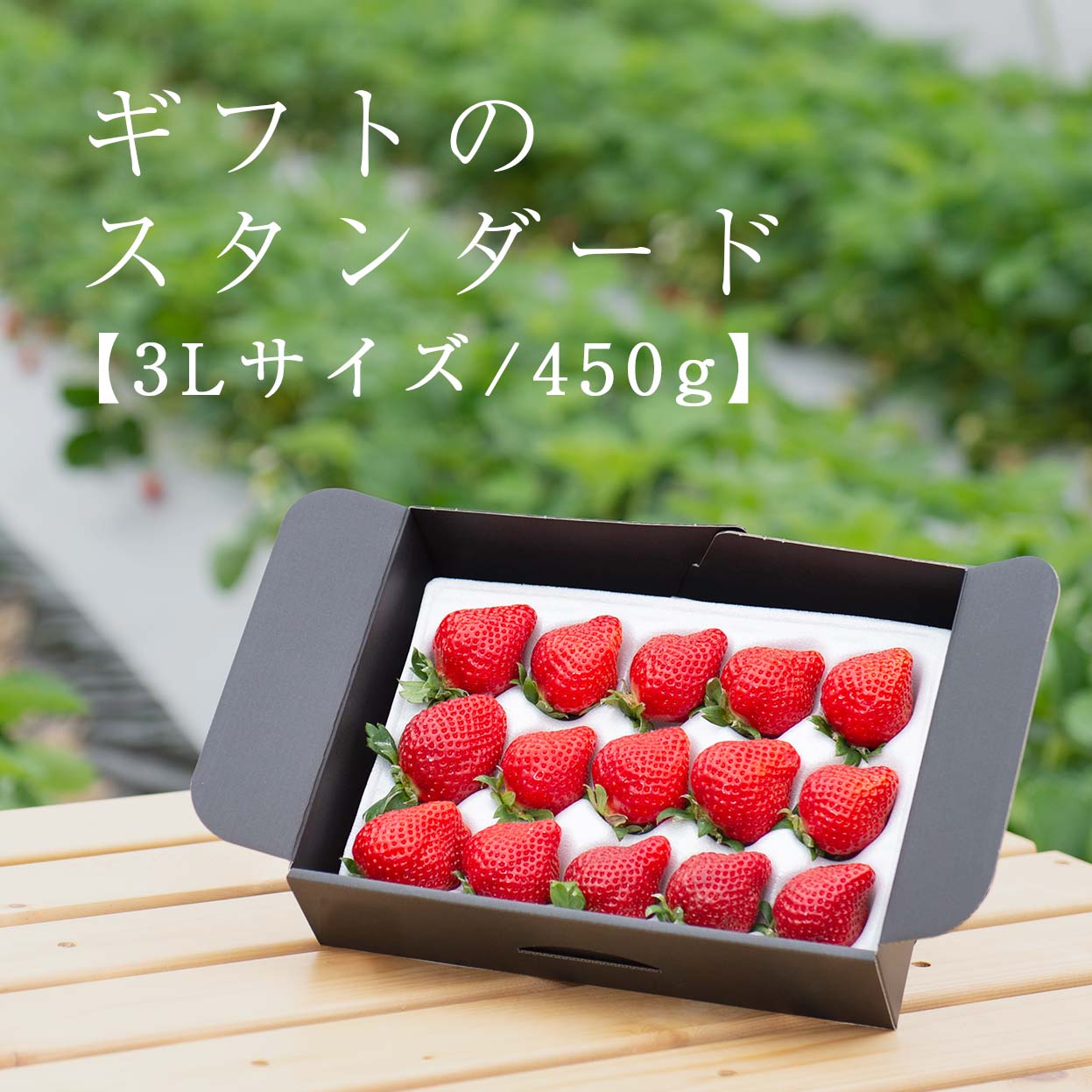 福岡の産直いちご農家 武下さんちのあまおう３Ｌサイズ４５０ｇ ギフト 