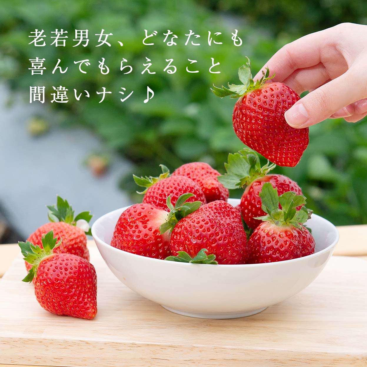 あまおう3L