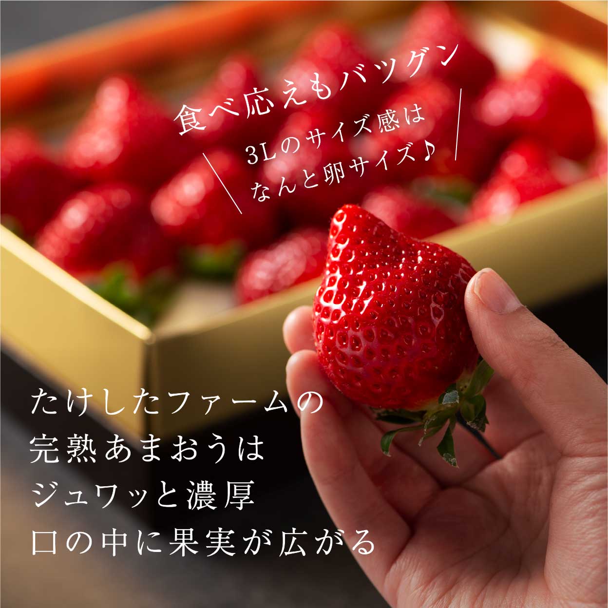 あまおう3L