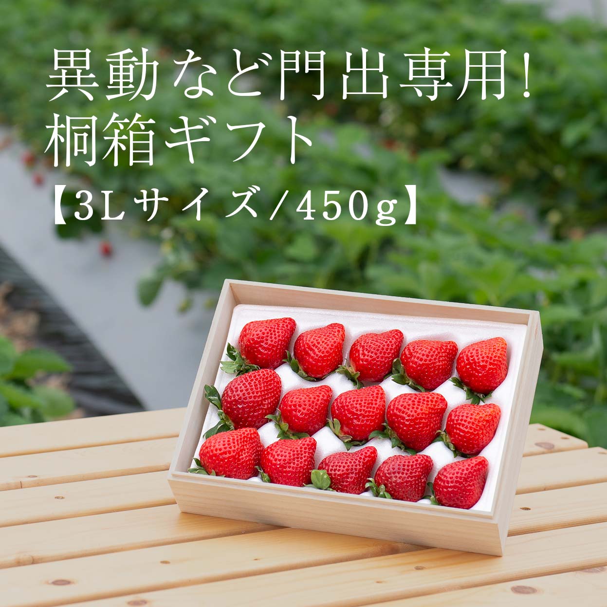 あまおう3L桐箱450g