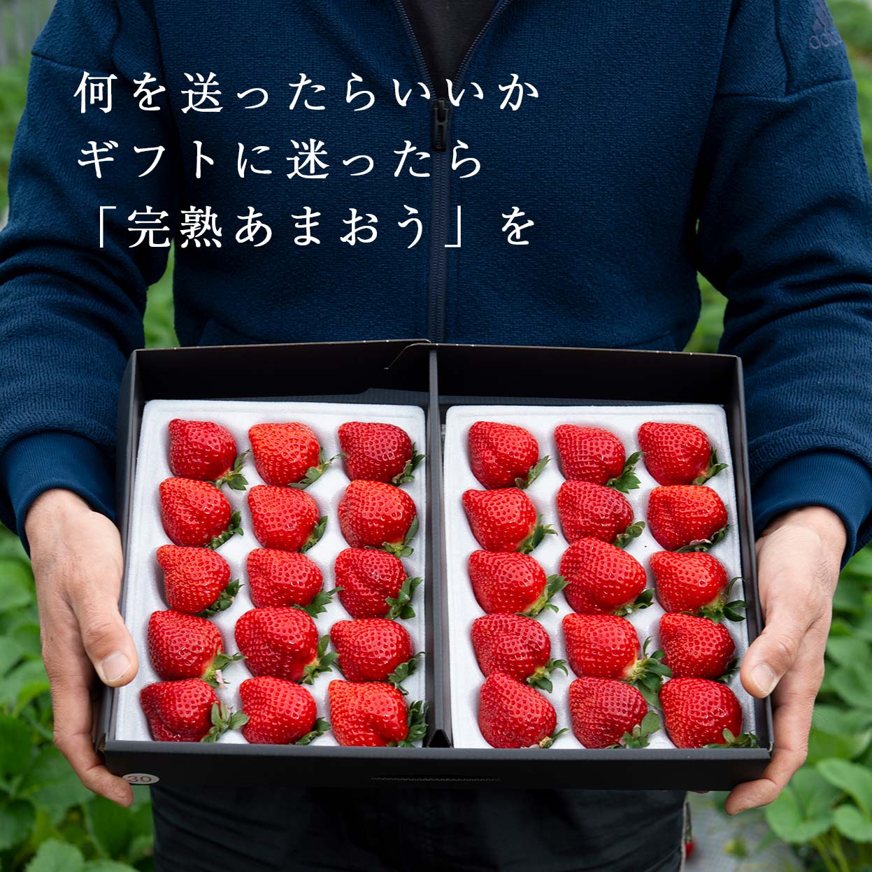 あまおう3L450g