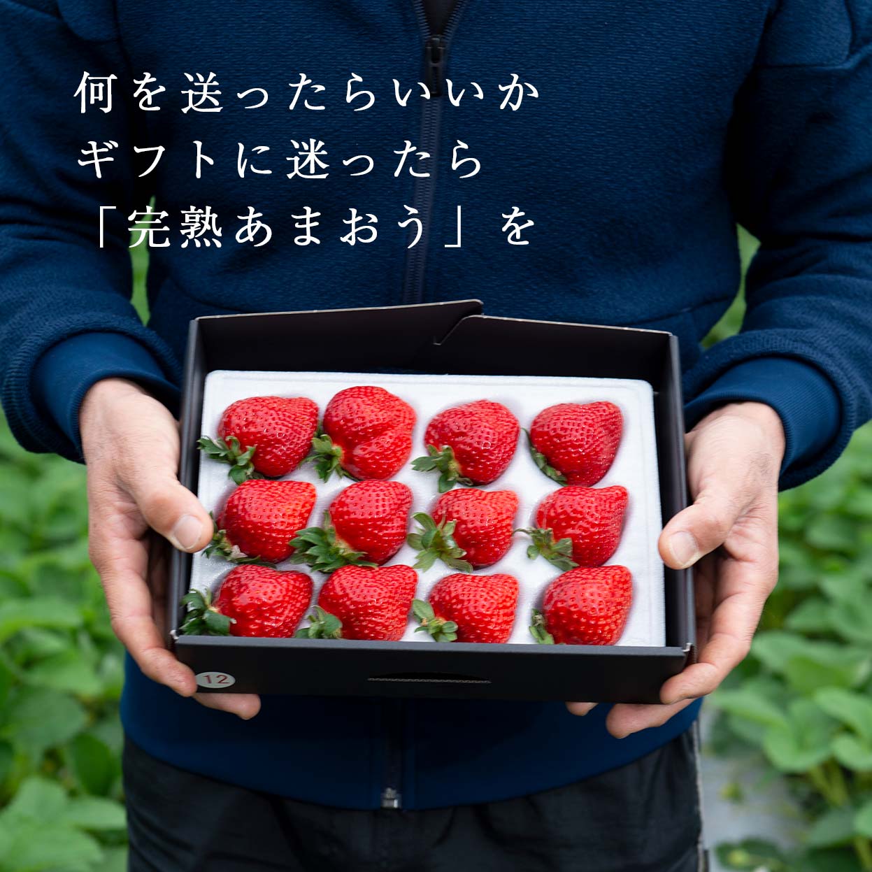 あまおう3L450g