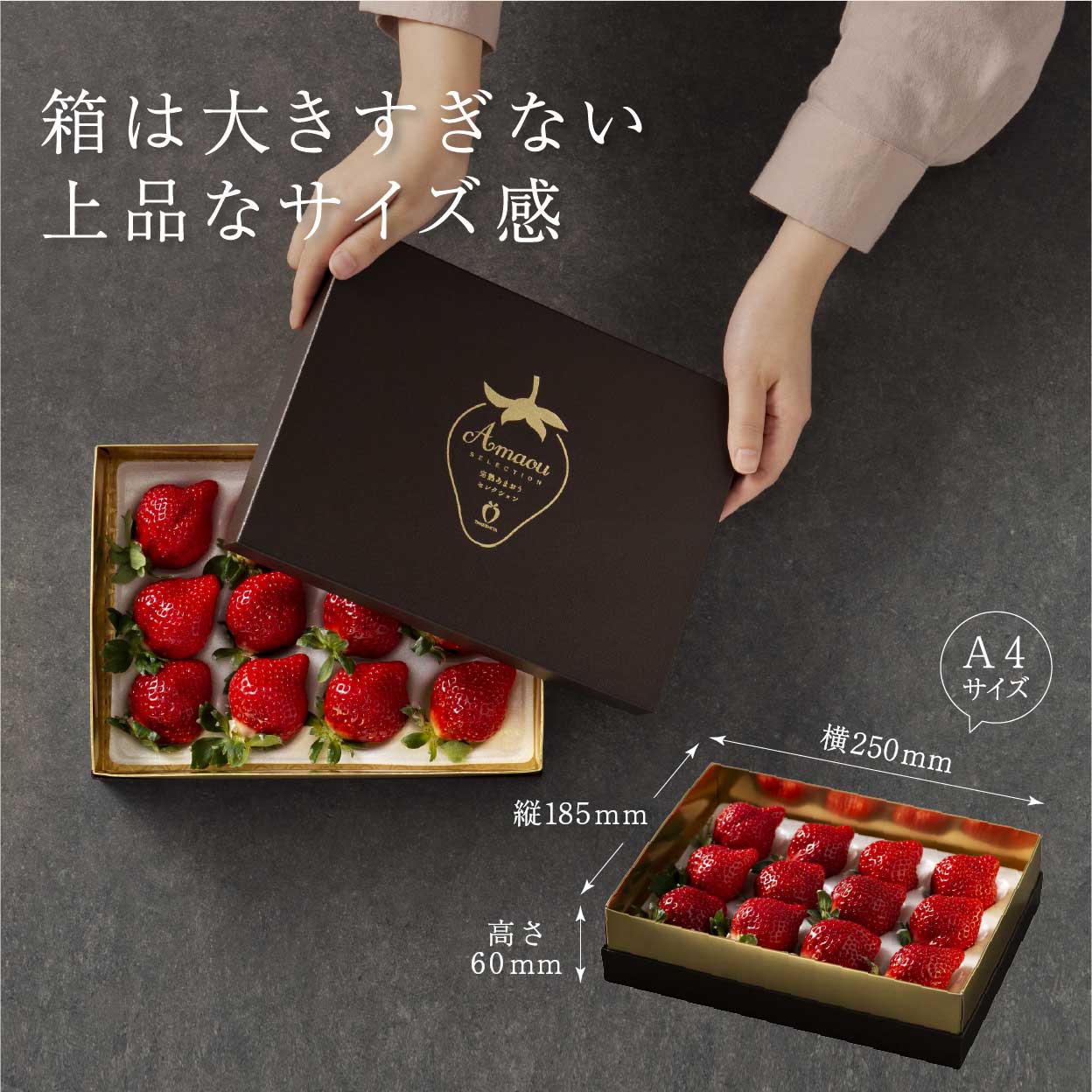 箱サイズ