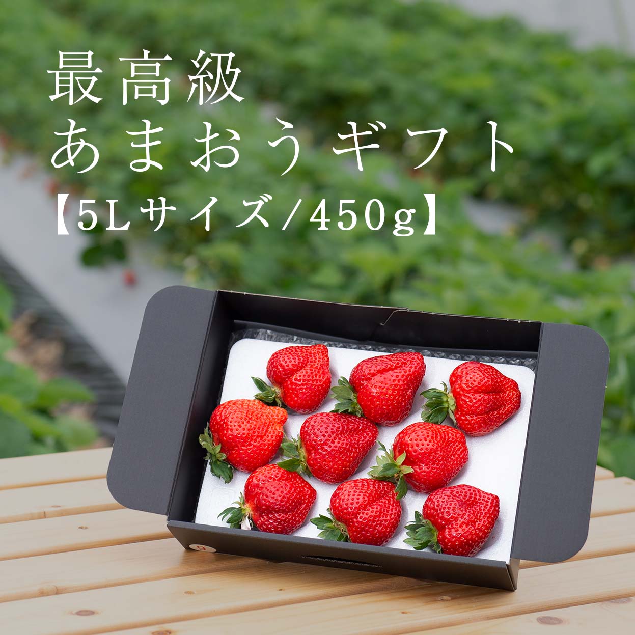福岡の産直いちご農家 武下さんちのあまおう5Lサイズ450g 福岡の産直いちご農家 武下さんちのあまおう5Lサイズ450g