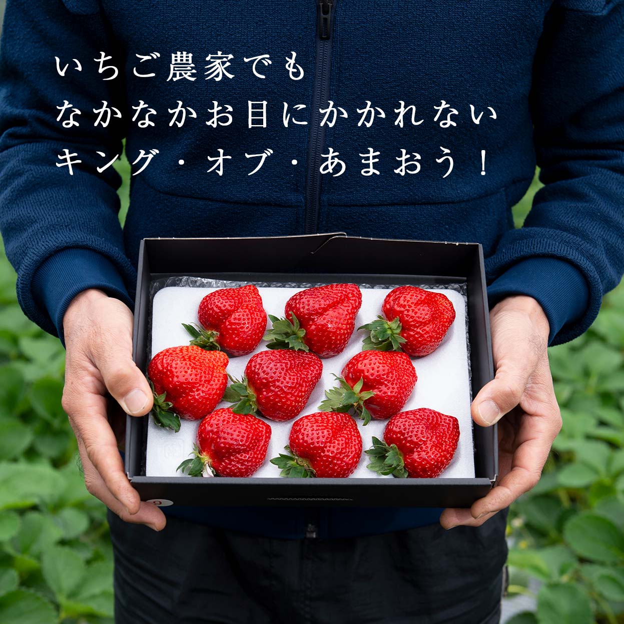 福岡の産直いちご農家 武下さんちのあまおう3Lサイズ150g