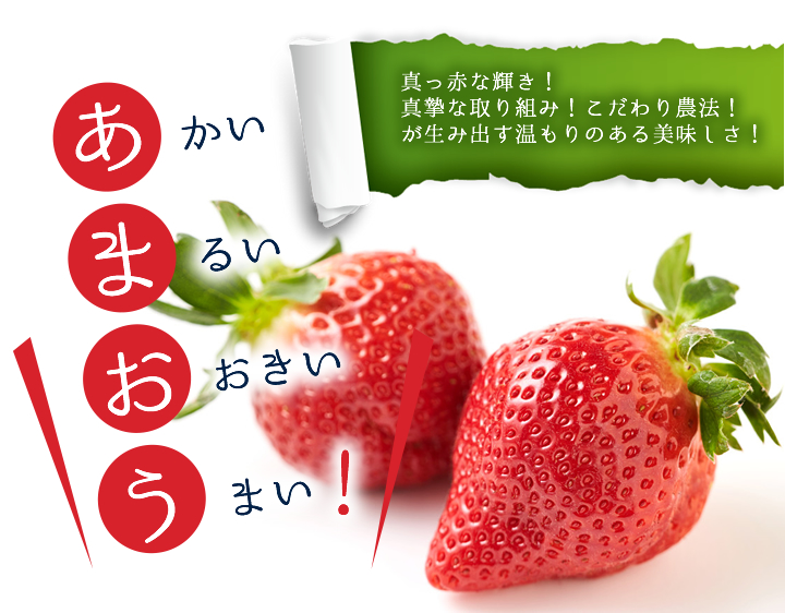 楽農ファームたけした こだわりのあまおう