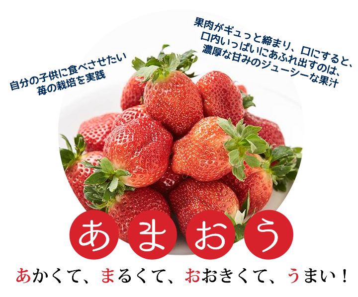 楽農ファームたけした こだわりのあまおう