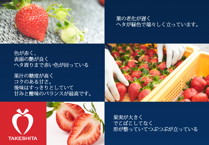楽農ファームたけした こだわりのあまおう
