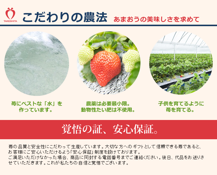楽農ファームたけした こだわりのあまおう