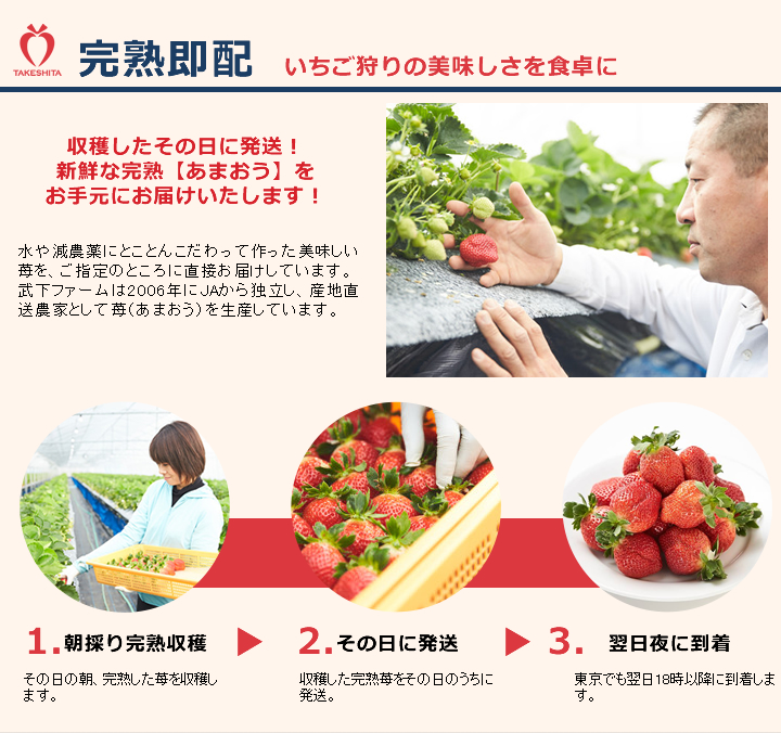 楽農ファームたけした こだわりのあまおう