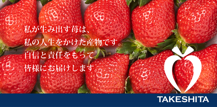 楽農ファームたけした こだわりのあまおう