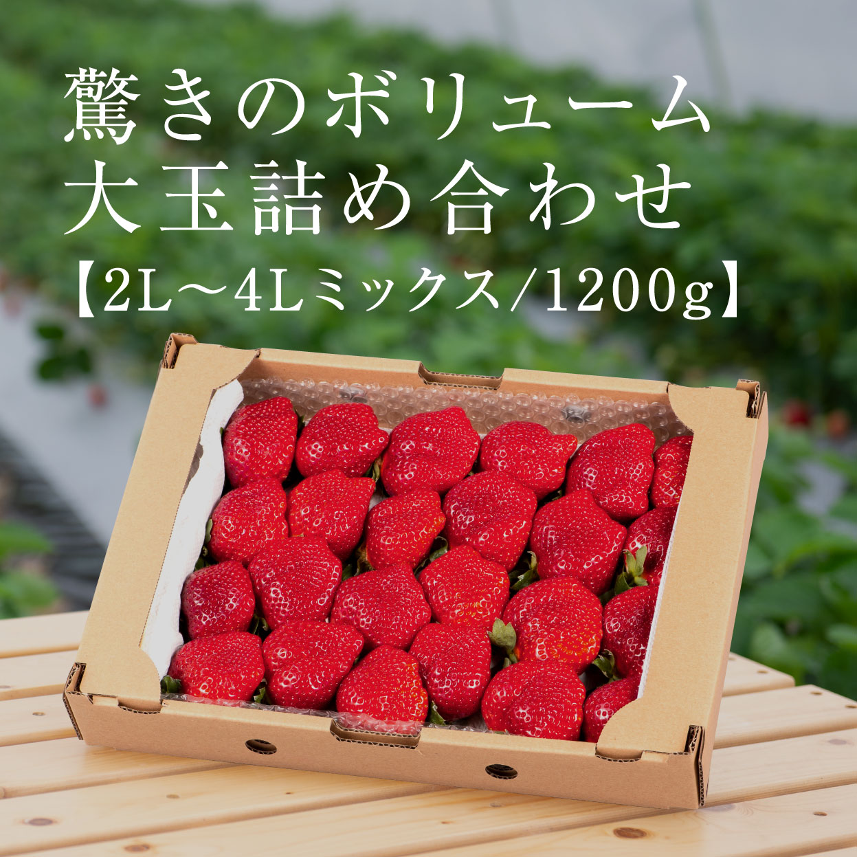 あまおうmix1200g