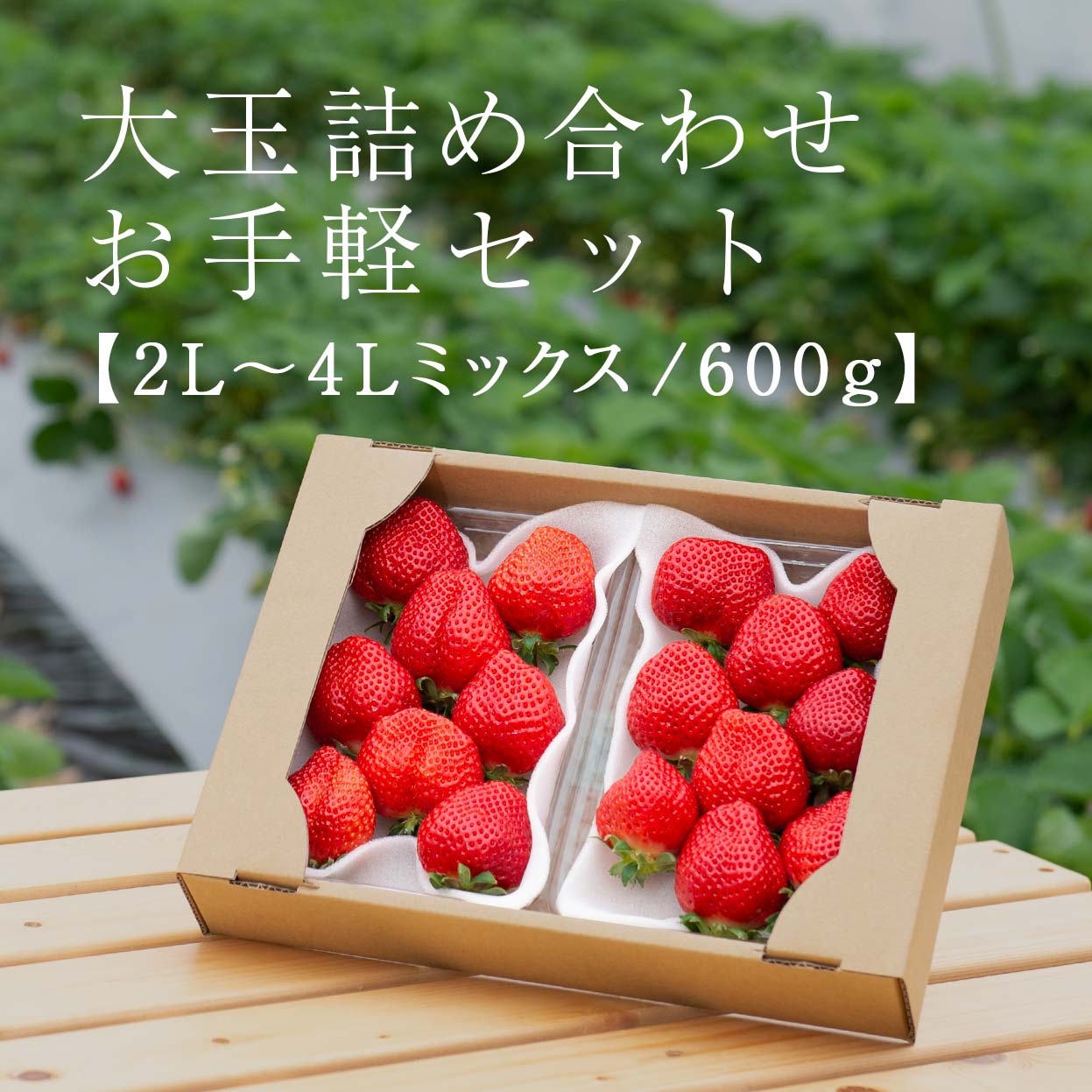 あまおうmix600g