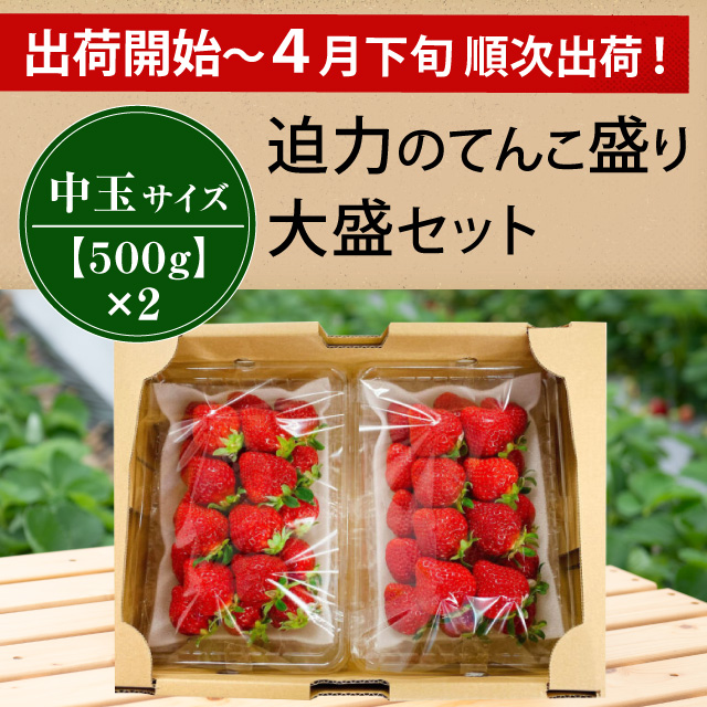 食べ応えのあるボリューム感!