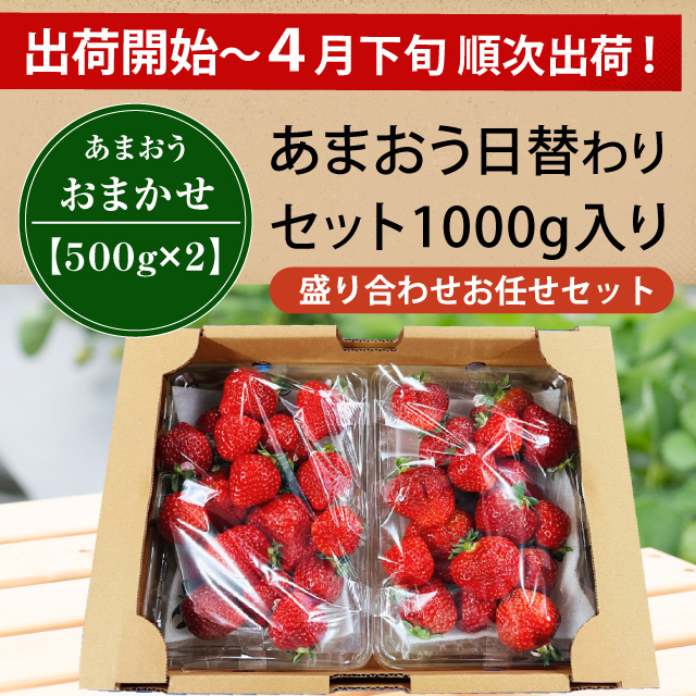 迫力のてんこ盛り500gx2パック!