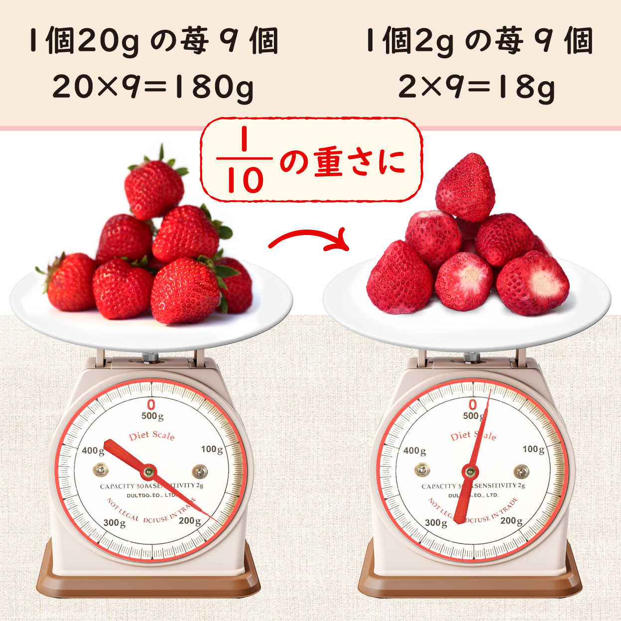 フリーズドライ重さは十分の一に