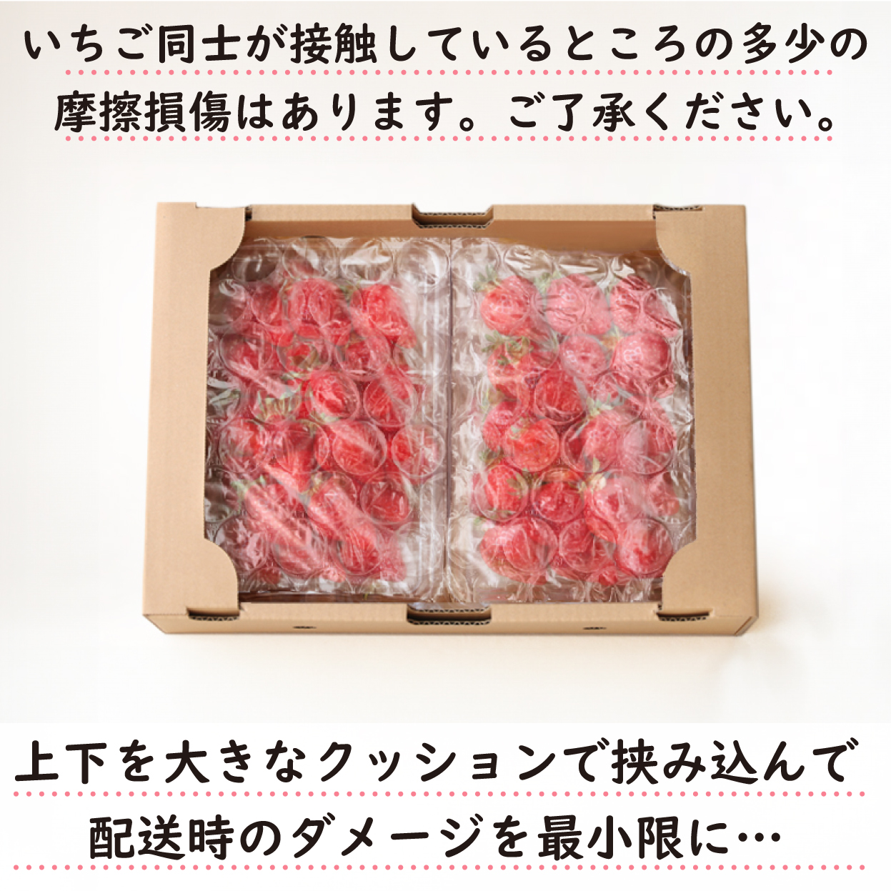 あまおう福袋1000g