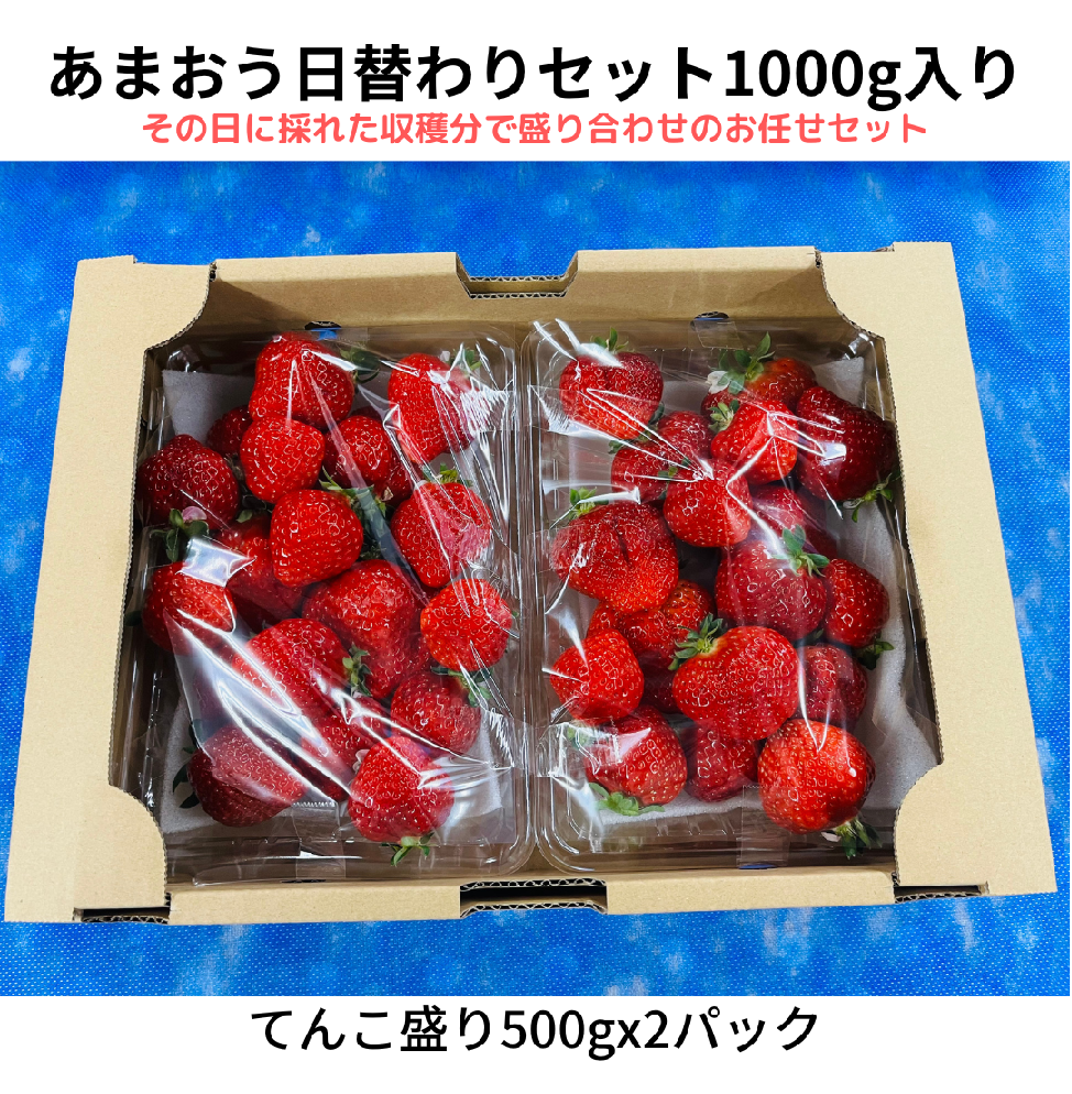 あまおう福袋1000g