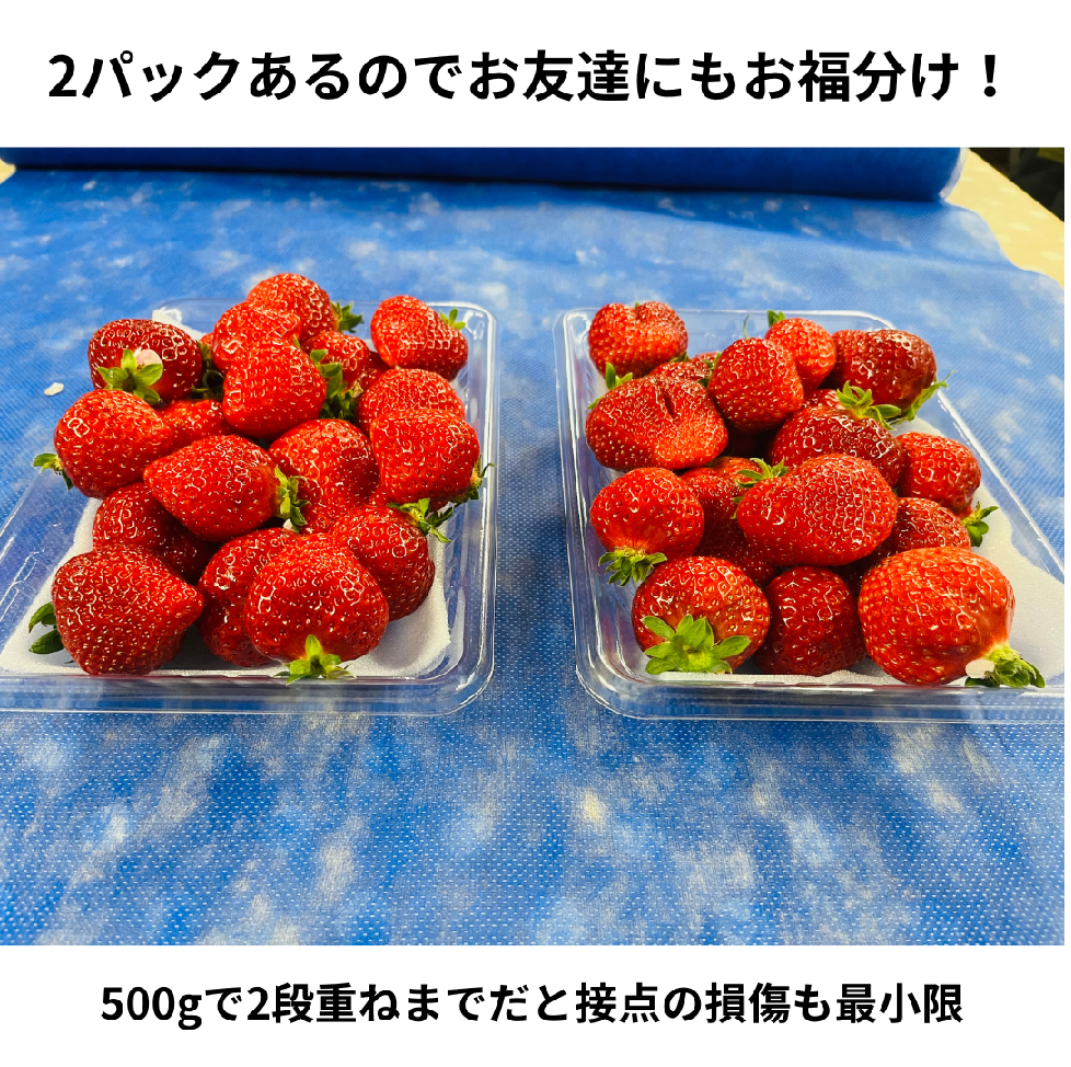 あまおう福袋1000g