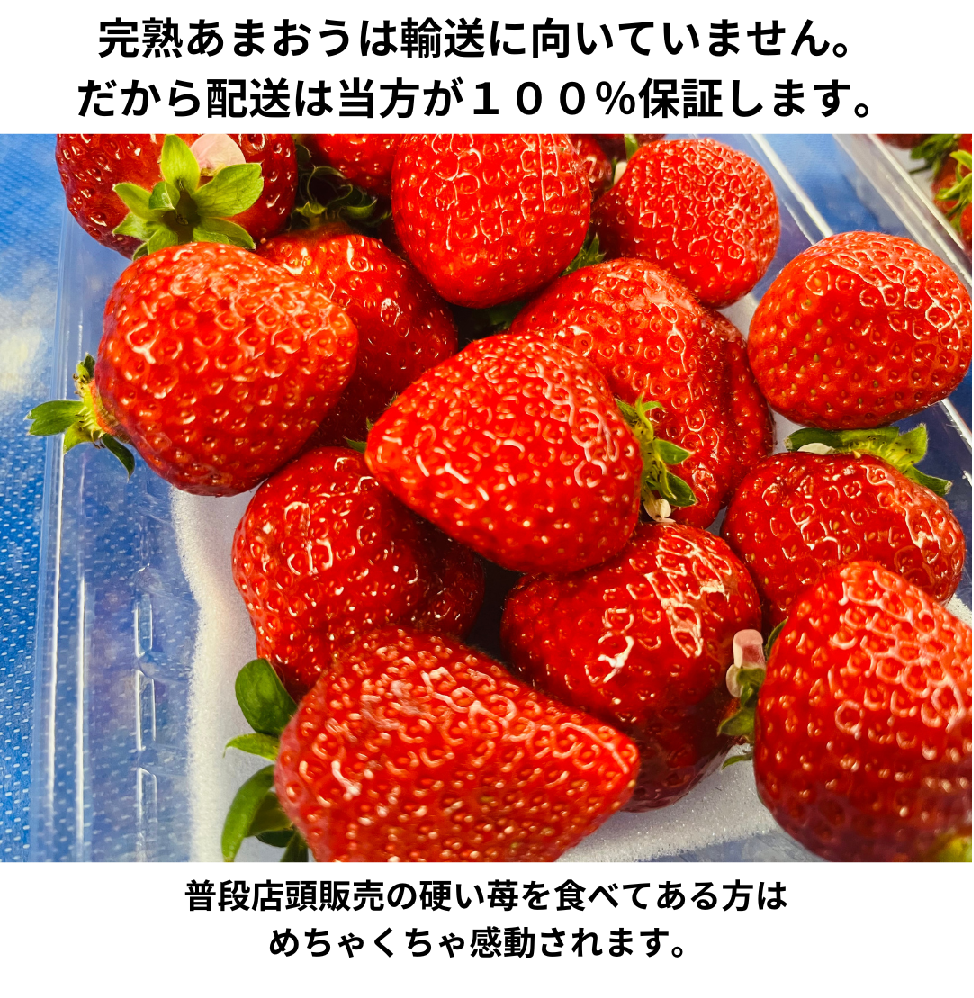 あまおう福袋1000g