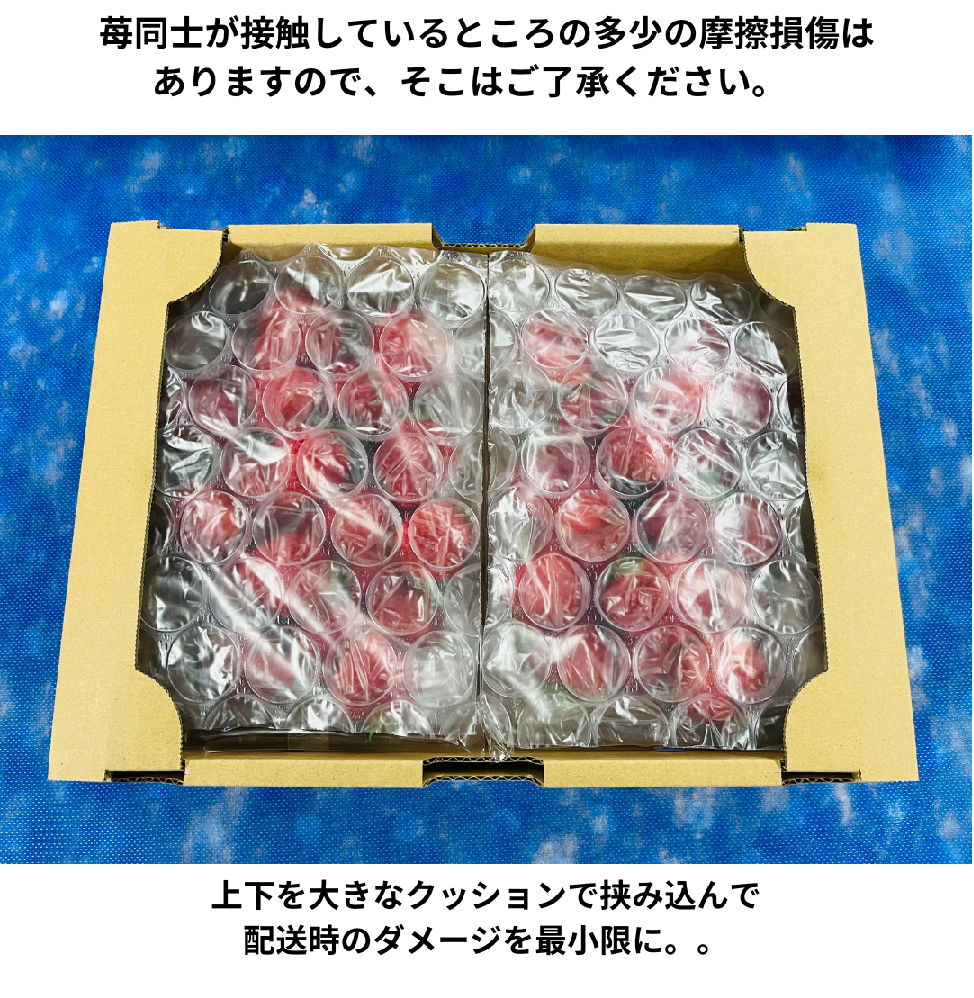 あまおう福袋1000g