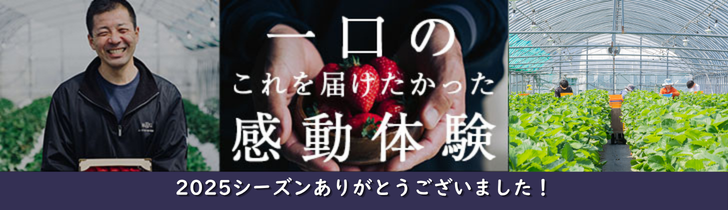 完熟あまおう