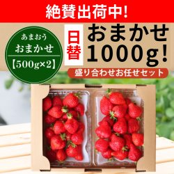 日替わり1000g