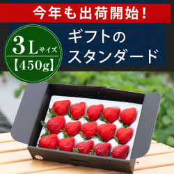 スタンダードギフト３Lサイズ450g