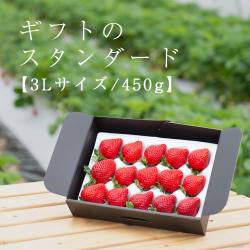 スタンダードギフト３Lサイズ450g