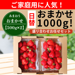 日替わり1000g
