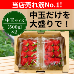 中玉大盛り1000g