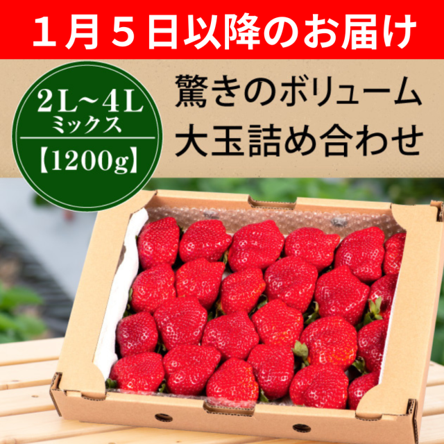 １月５日以降のお届け_MIX120０g