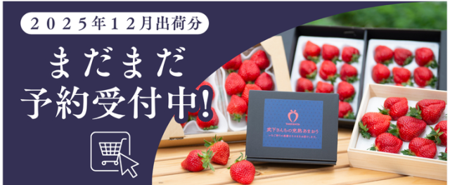 いちごの通販なら楽農ファームたけした | 福岡あまおうを使ったお