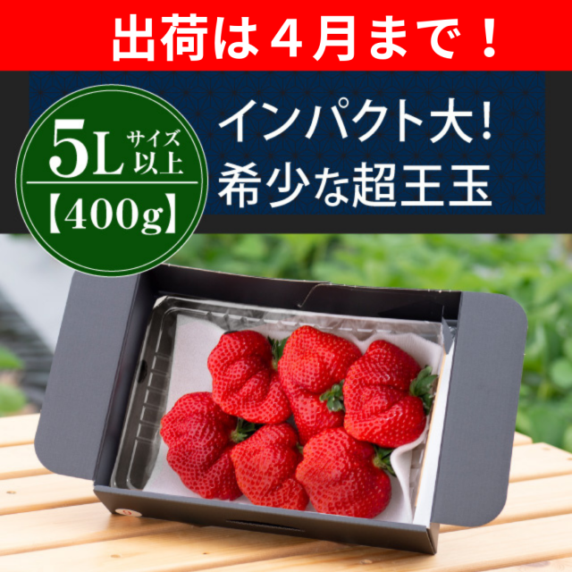 出荷は４月まで5L400g