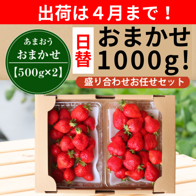 出荷は4月まで日替1000