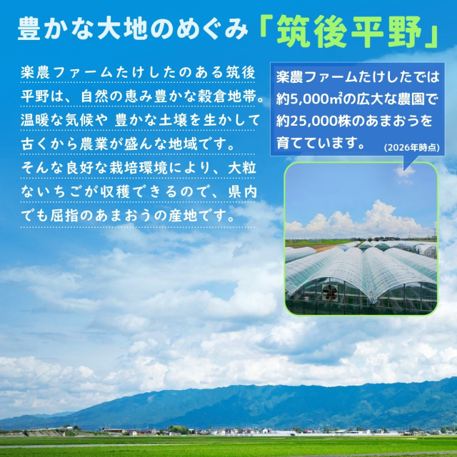 筑後川の恵みを受けた土壌