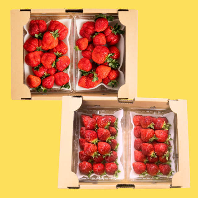 豊作箱８千円_2