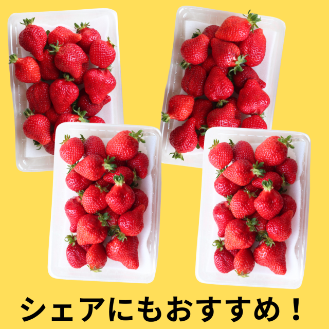 豊作箱８千円_3