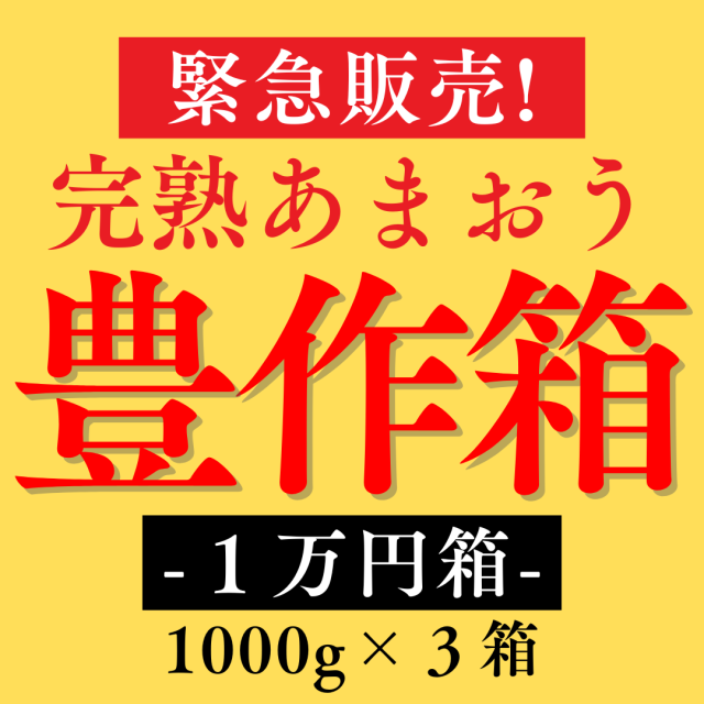 福箱１万円_1