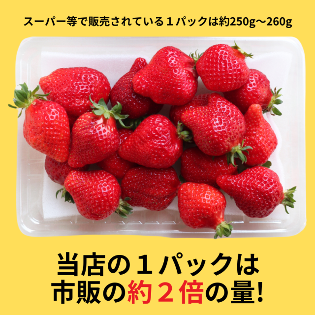 １パック500g