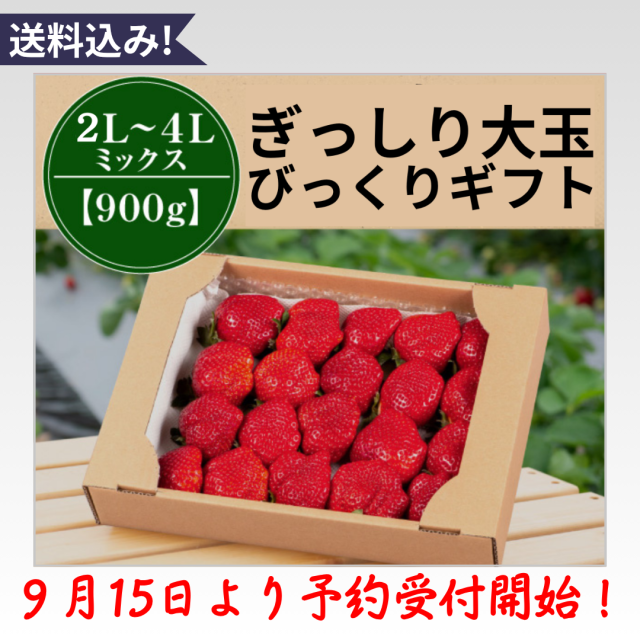 MIX900g予約開始