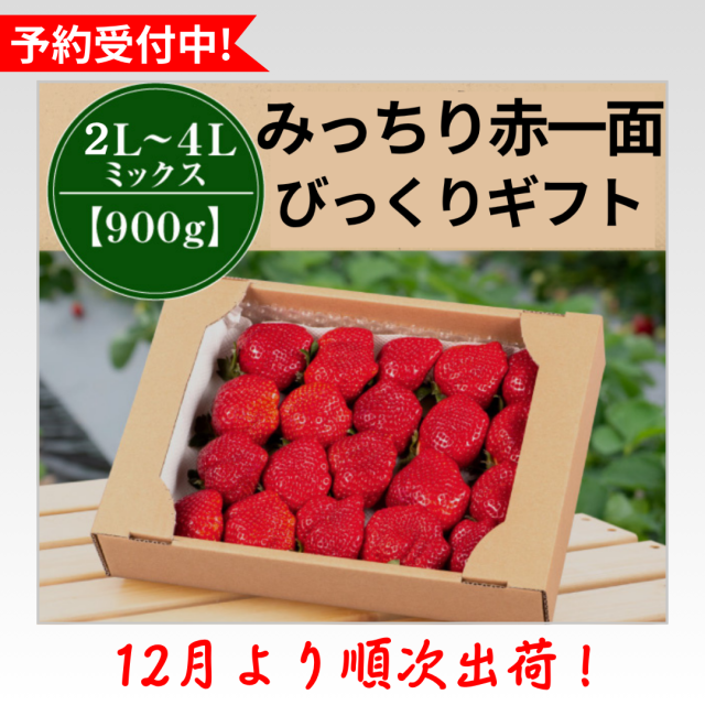 2L4LMIX900_予約受付中