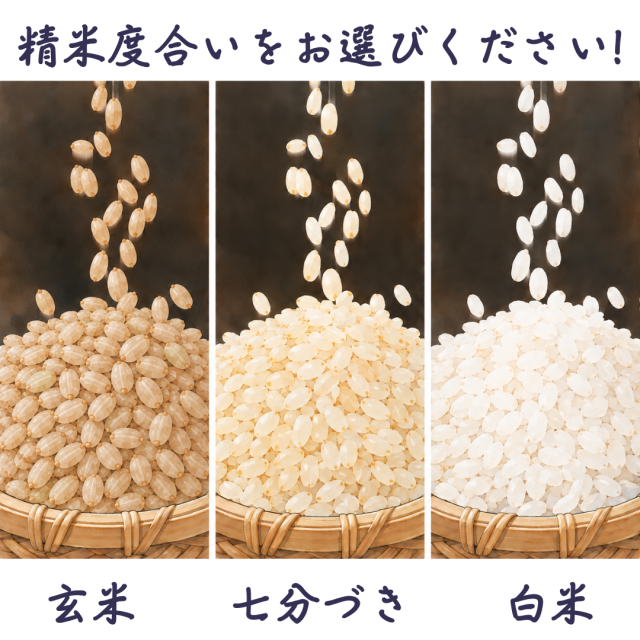 精米度合いの違い（玄米・七分づき・白米）
