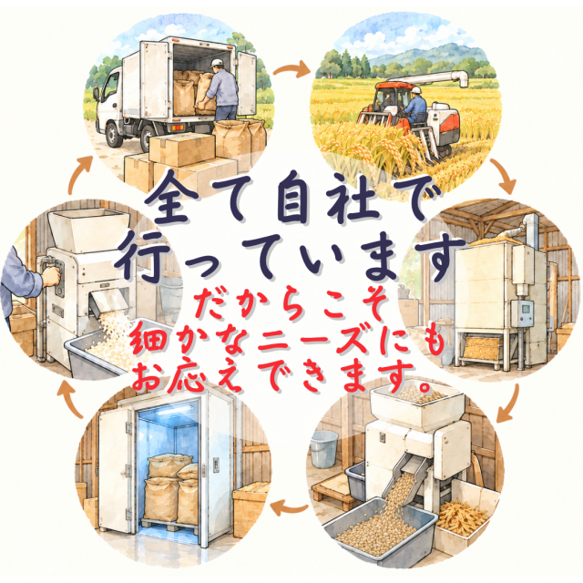 稲刈りから発送まで全て自社で行っています