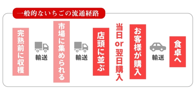 完熟収穫へのこだわり